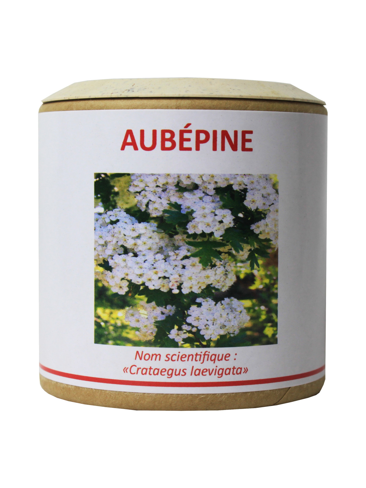 Aubépine