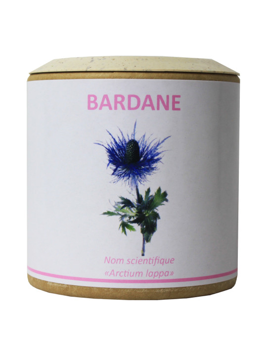 Bardane