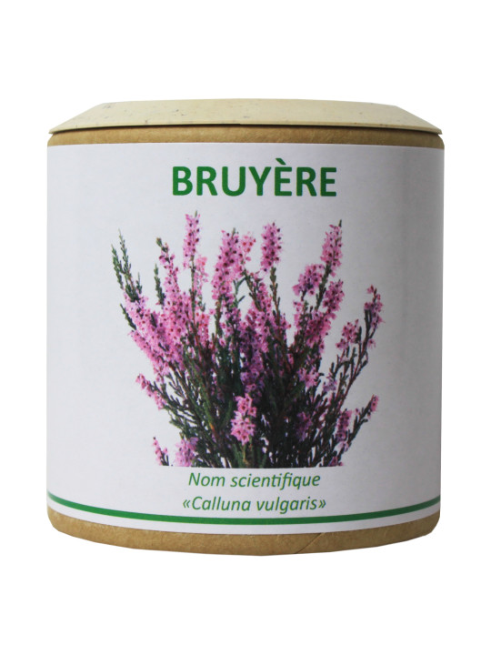 Bruyère