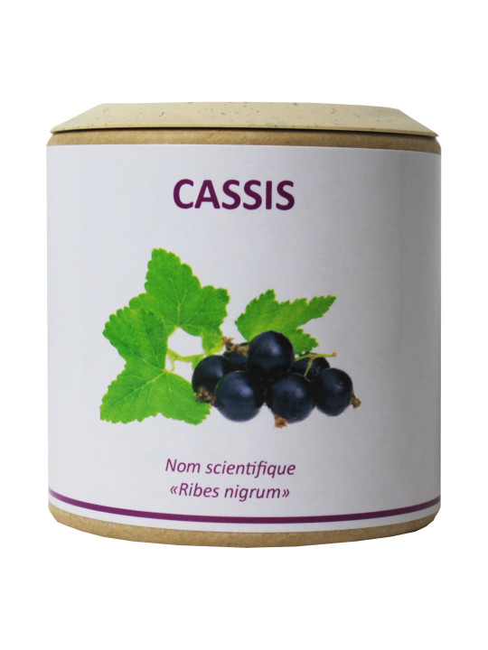 Cassis