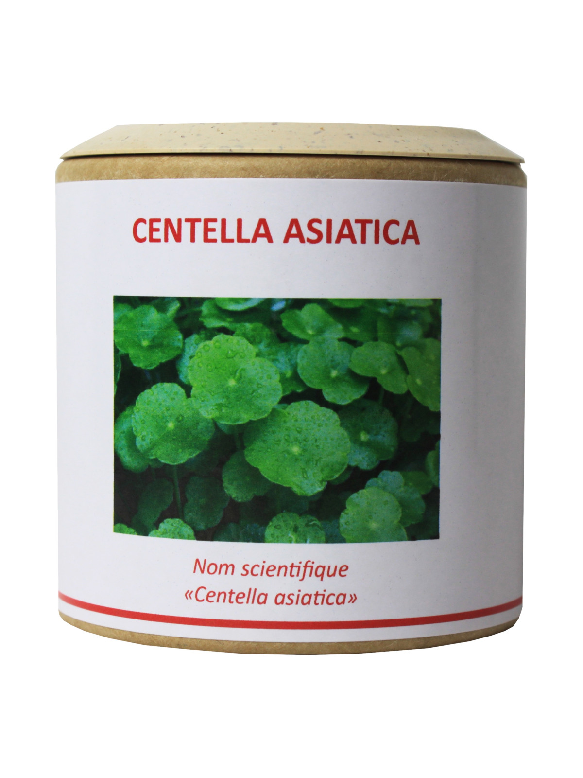 Centella asiatica