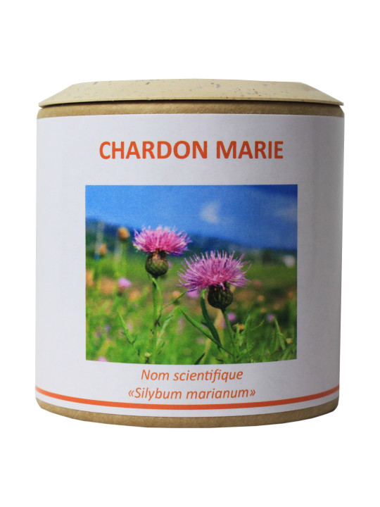 Chardon marie 