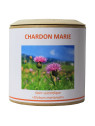 Chardon marie 