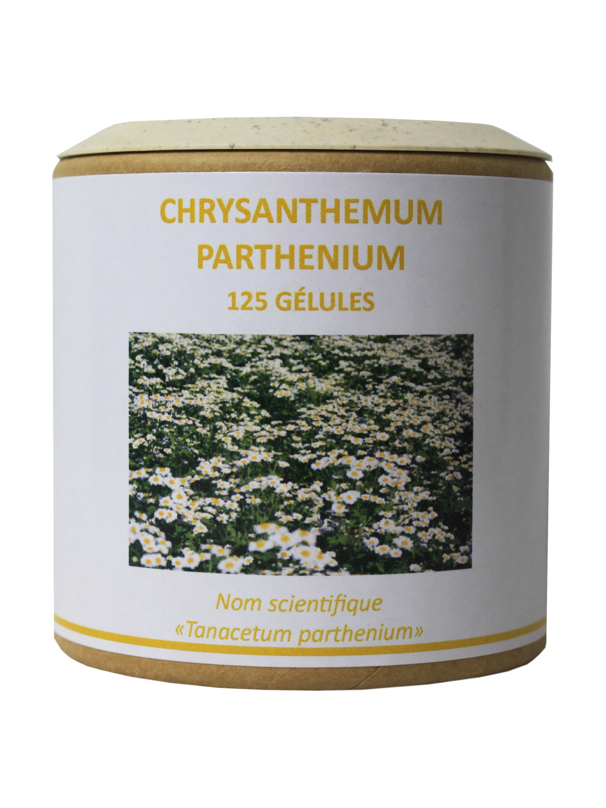 Chrysanthemum parthenium