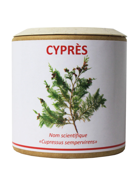 Cyprès