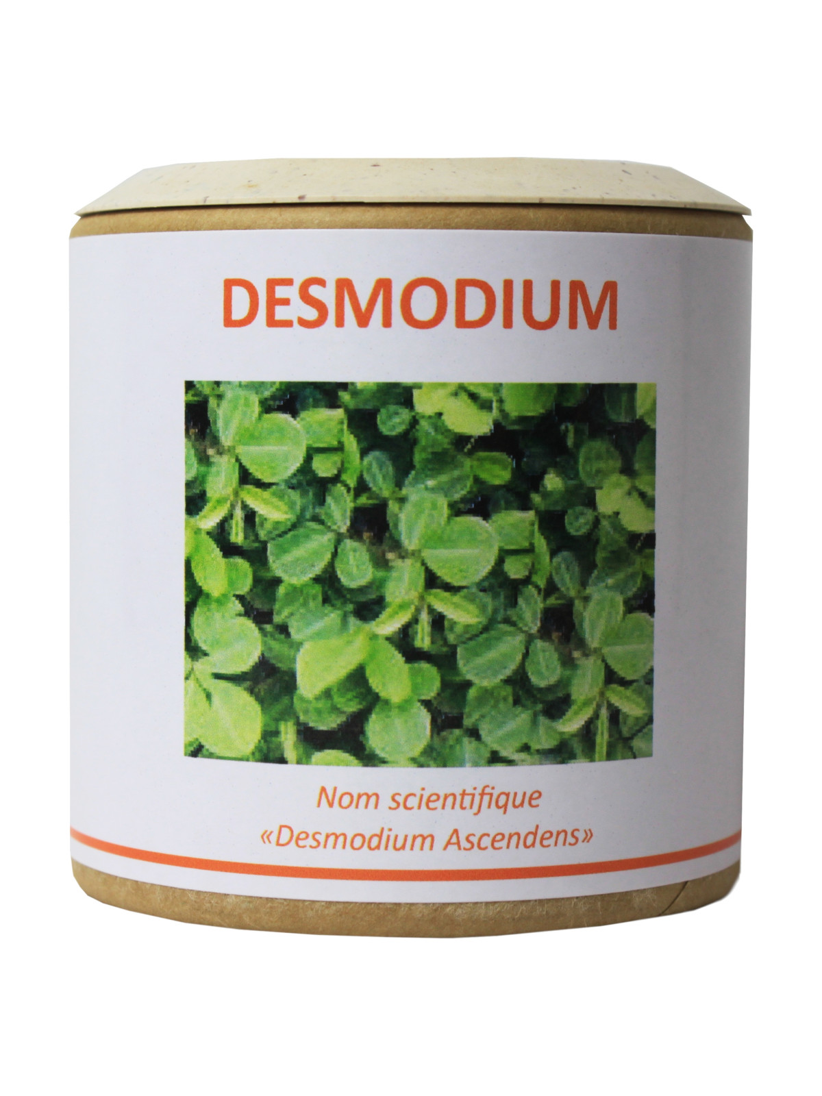 Desmodium