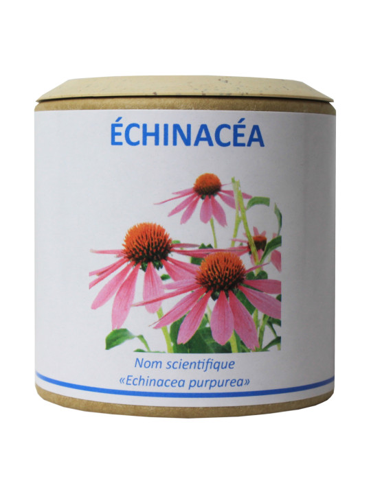 Echinacéa