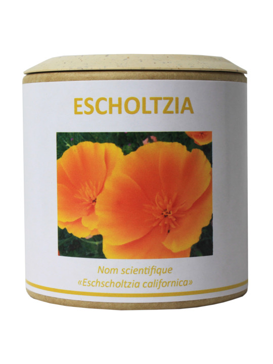 Escholtzia