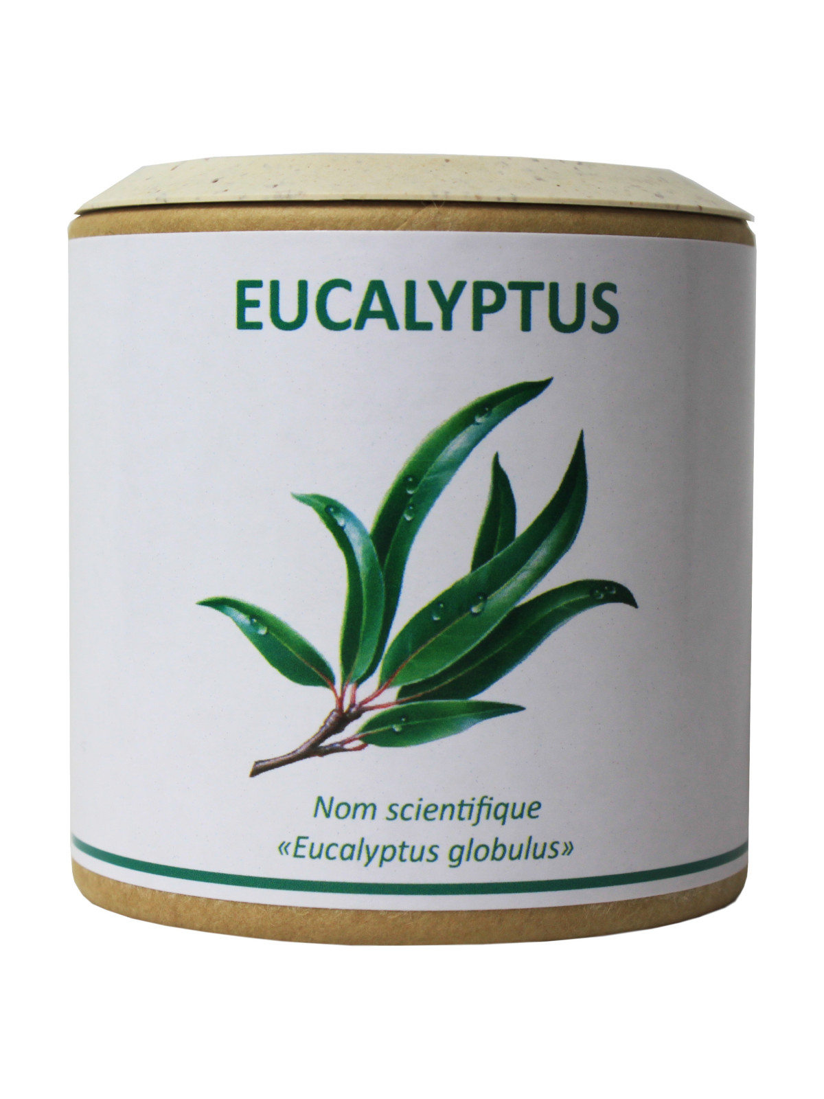 Eucalyptus