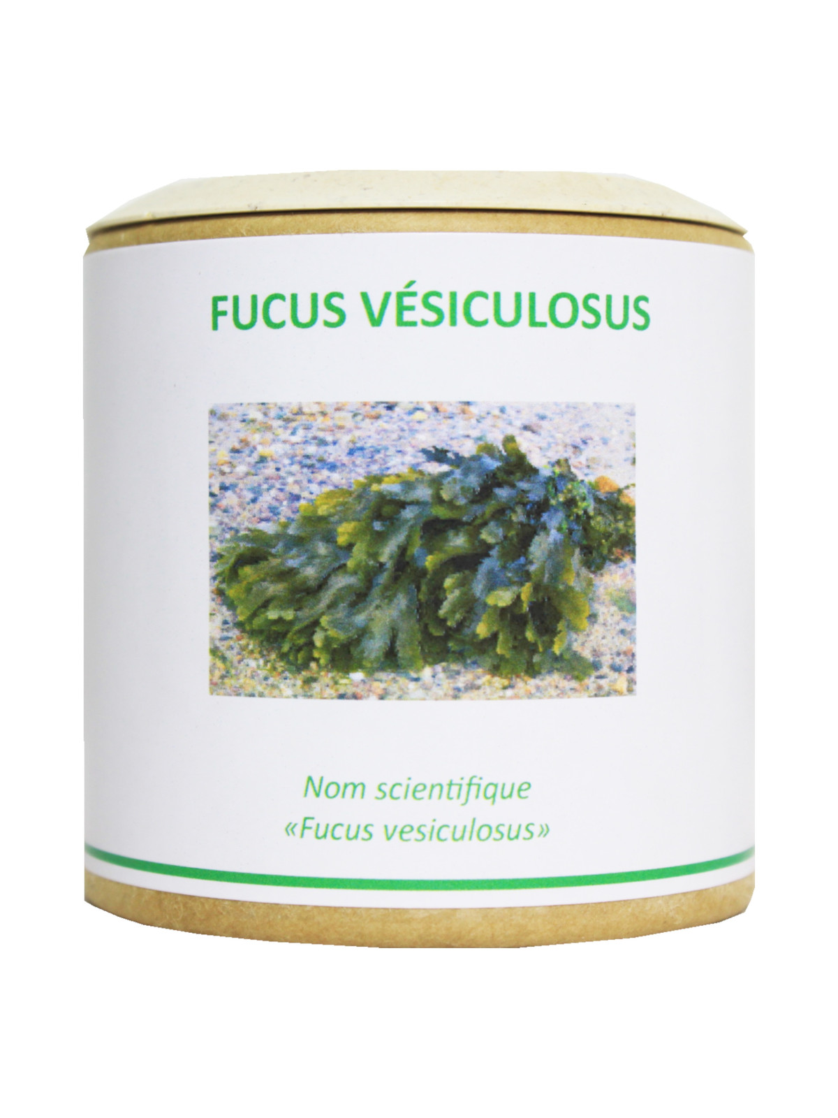 Fucus vésiculosus