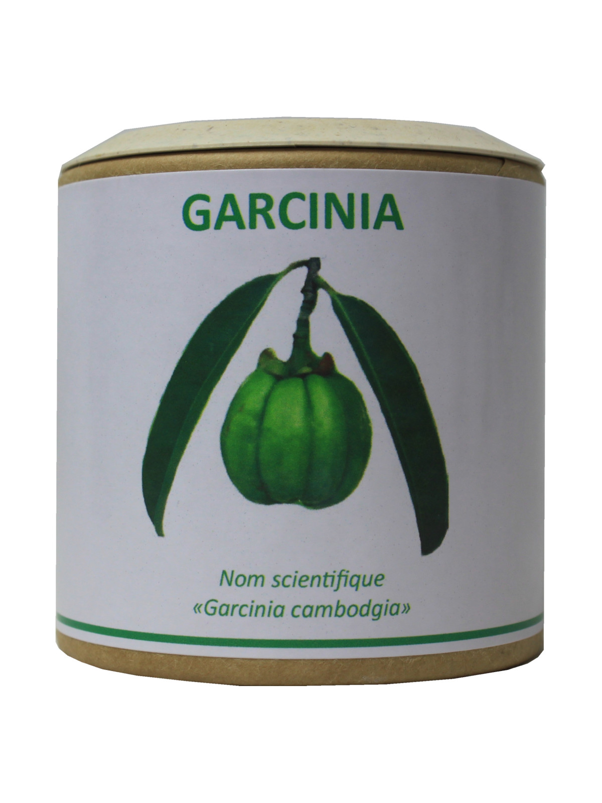 Garcinia