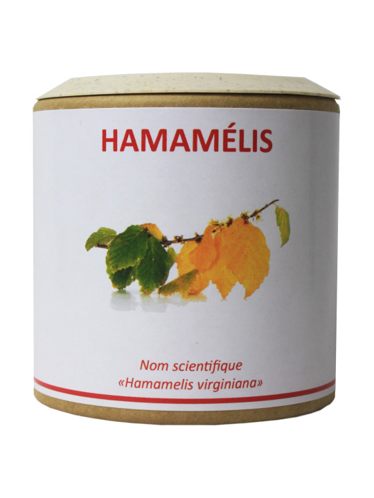 Hamamélis