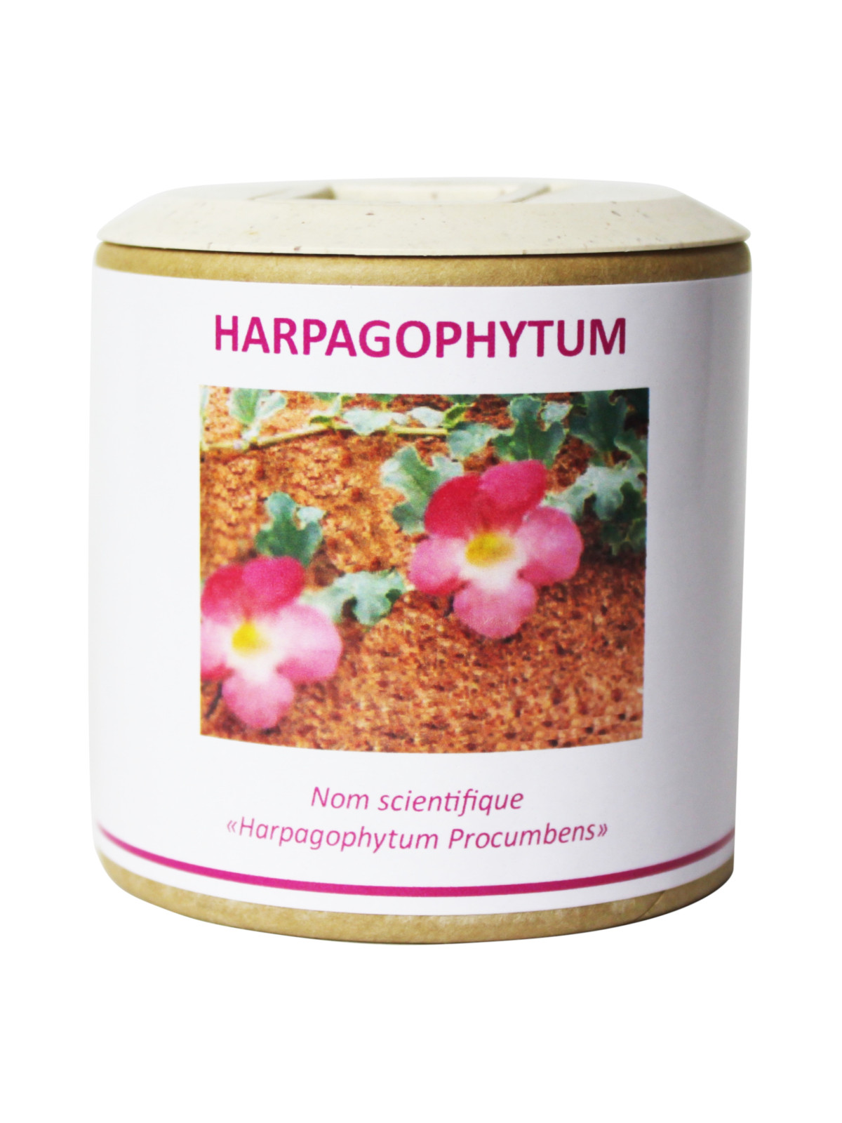 Harpagophytum