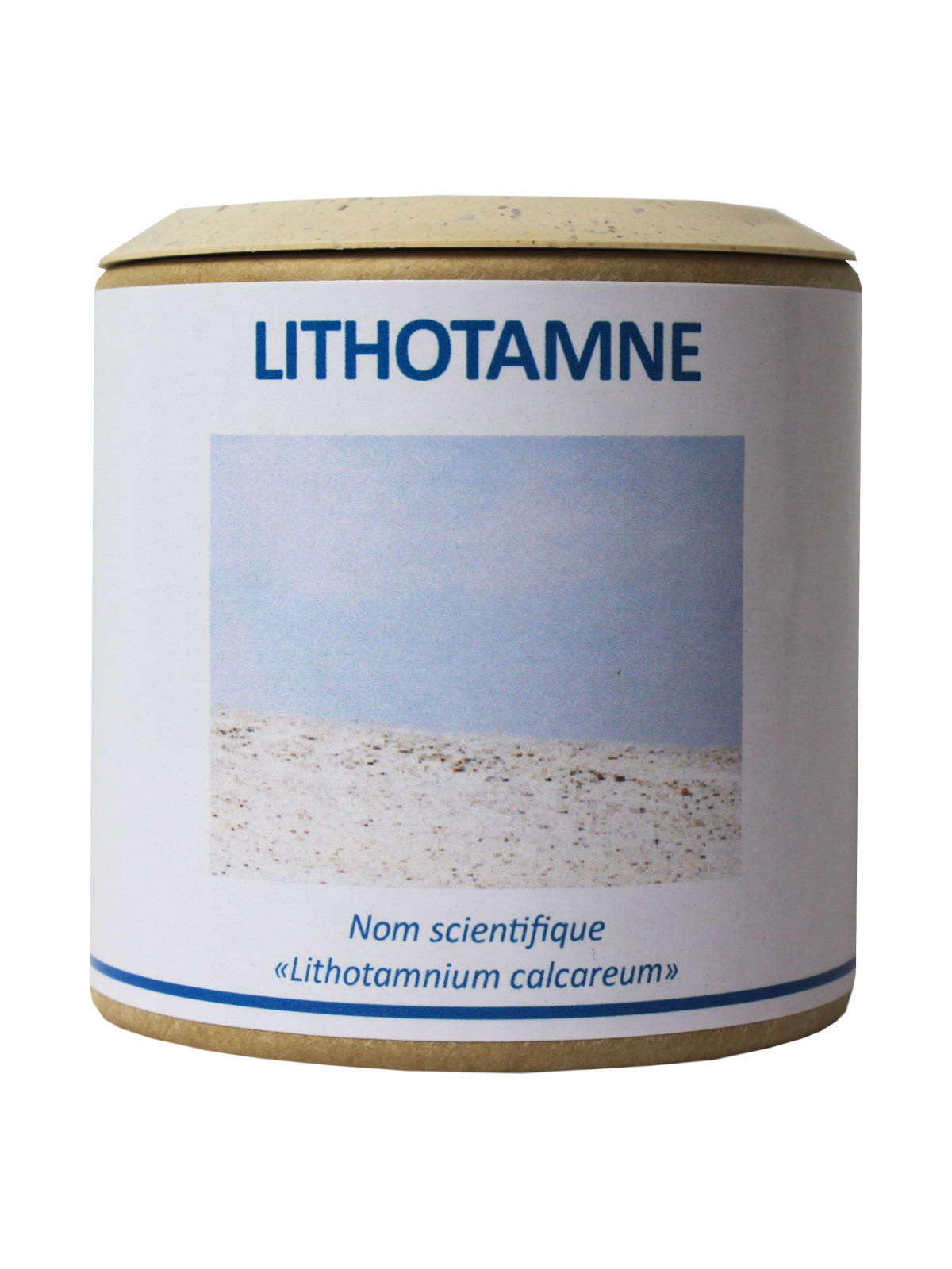 Lithotamne