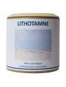 Lithotamne