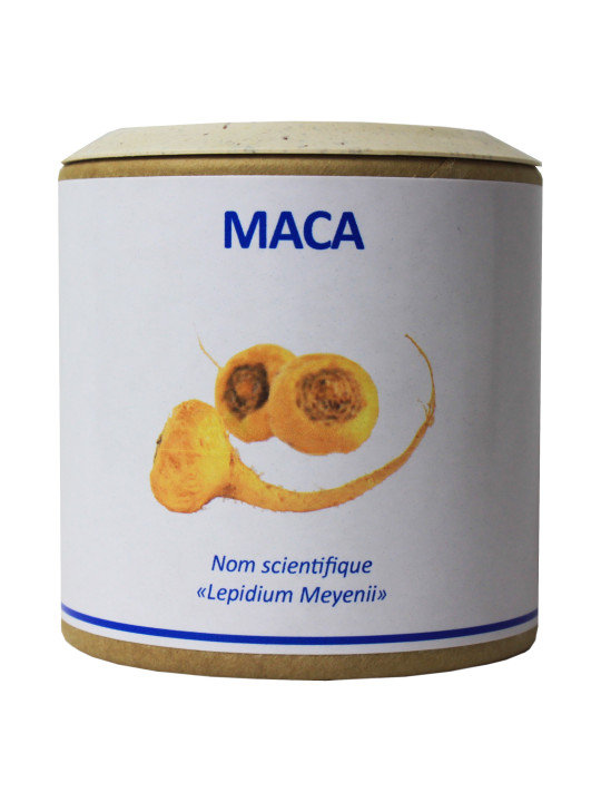 Maca