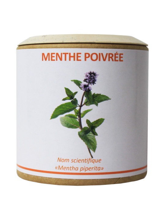 Menthe poivrée