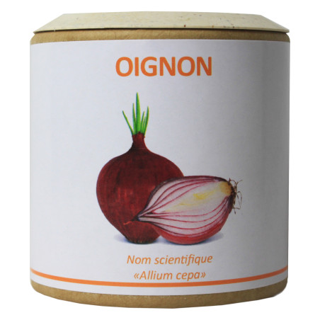 Oignon