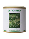 Orthosiphon