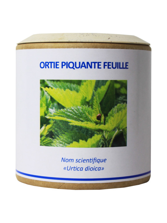 Ortie piquante feuille