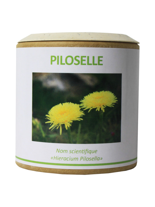 Piloselle