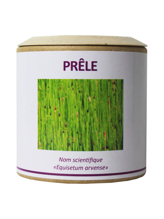 Prêle