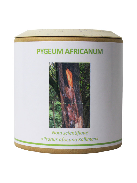 Pygeum africanum