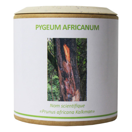 Pygeum africanum