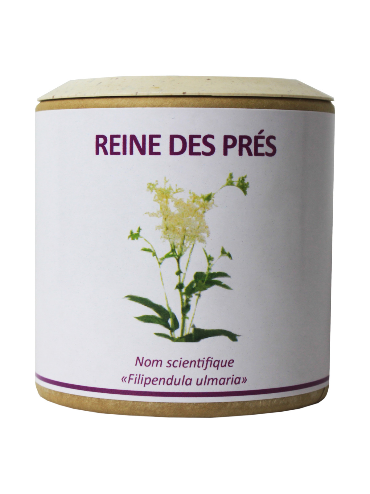 Reine des prés