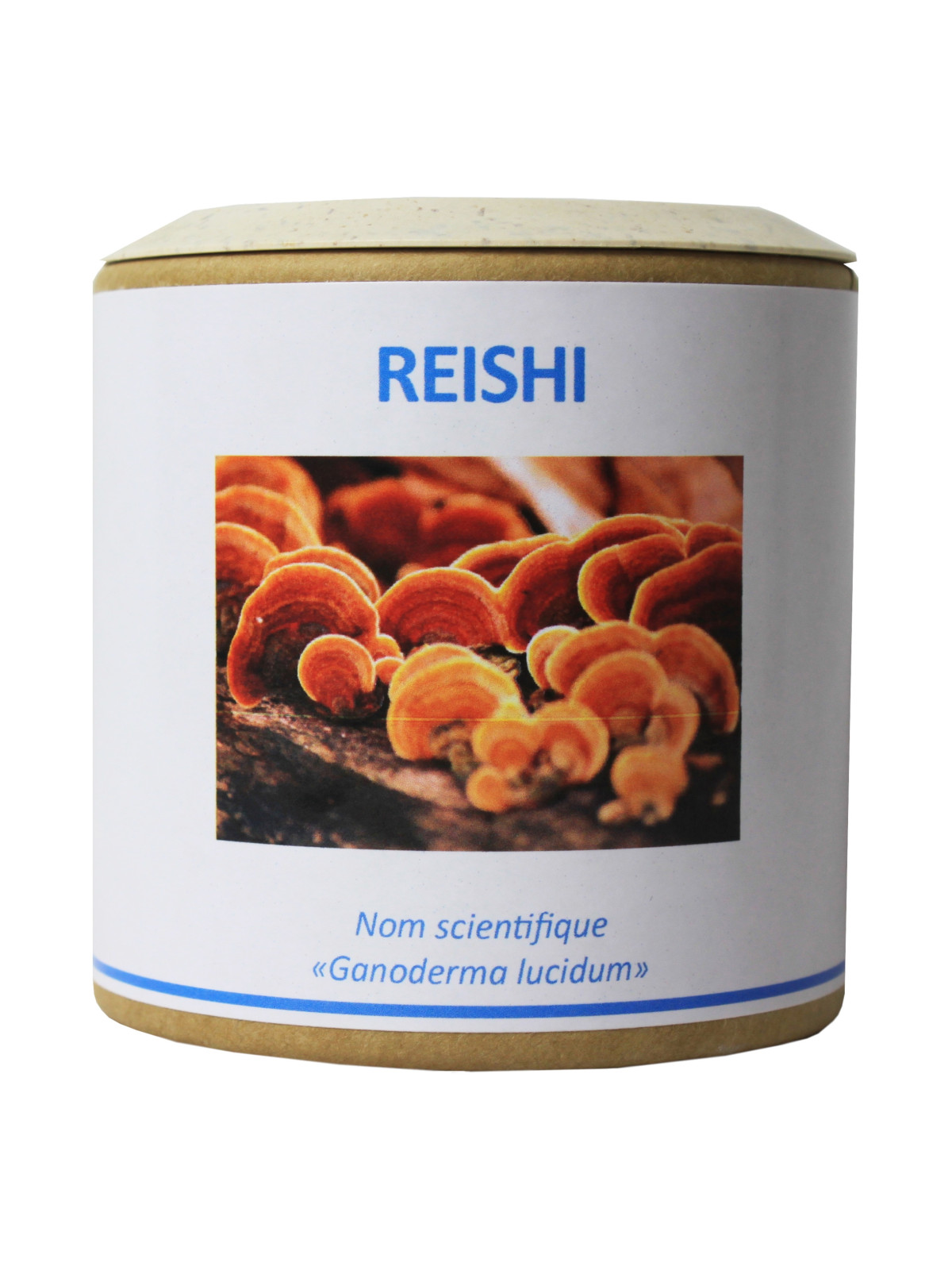 Reishi