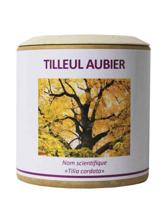 Tilleul aubier