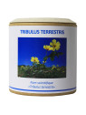 Tribulus terrestris