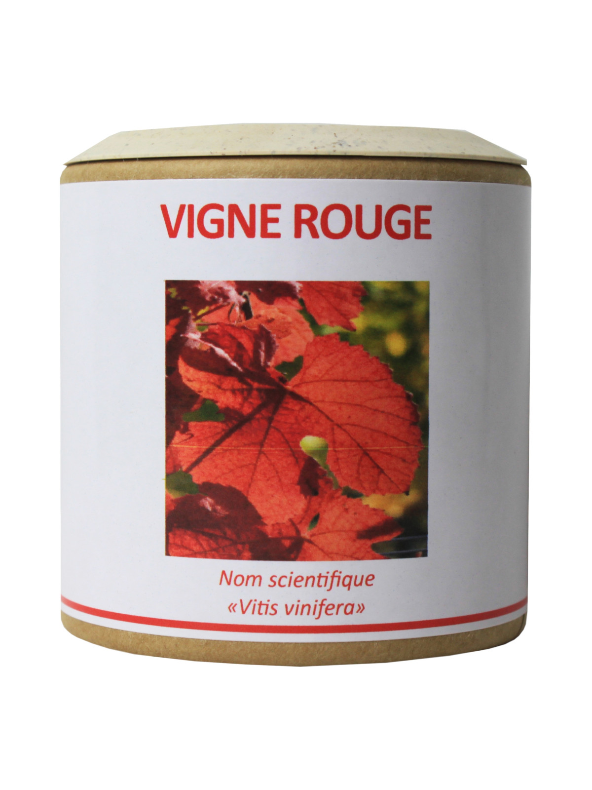 Vigne rouge