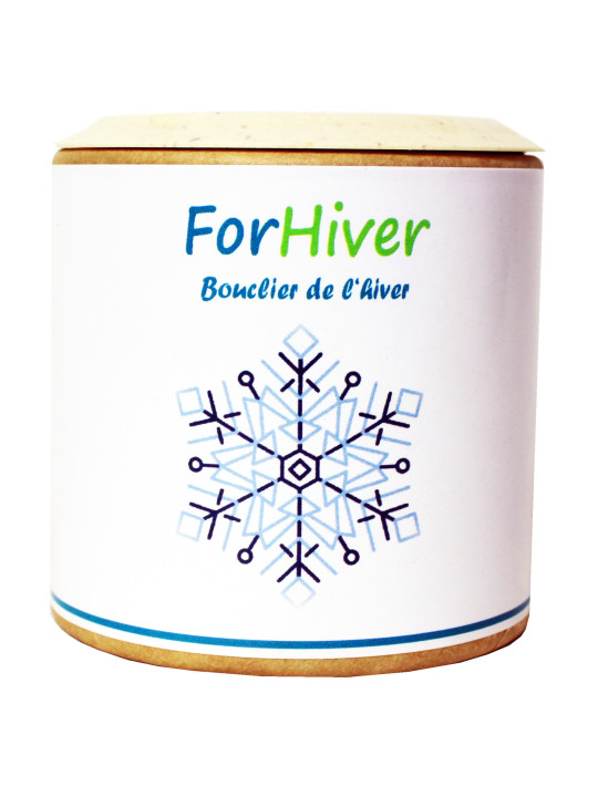 ForHiver Bouclier de l'Hiver