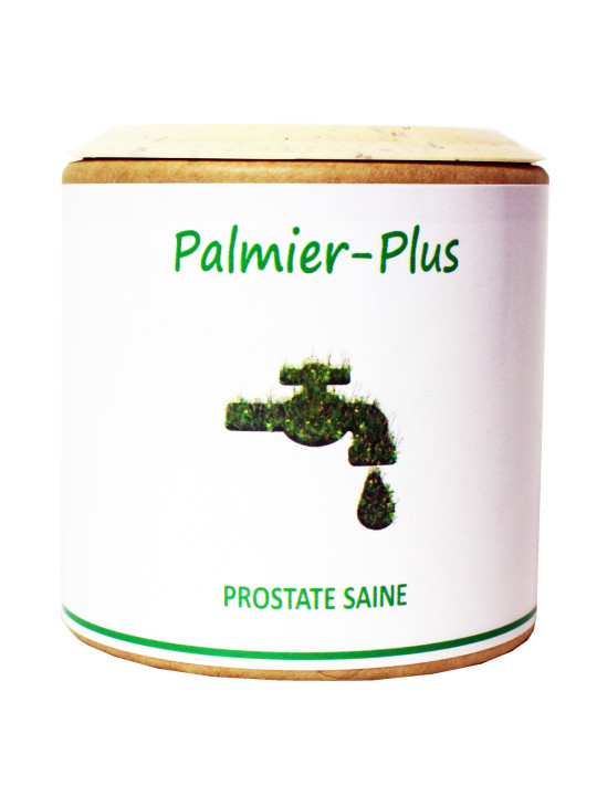 Palmier-Plus 