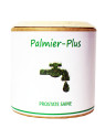 Palmier-Plus 