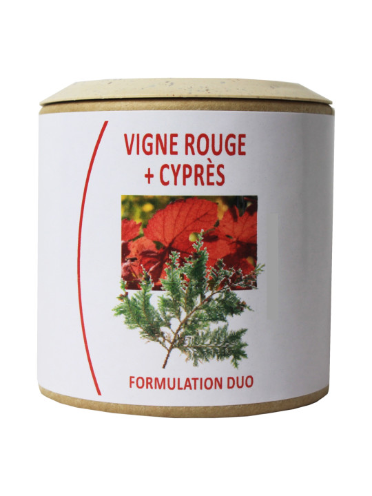 Vigne rouge + Cyprès