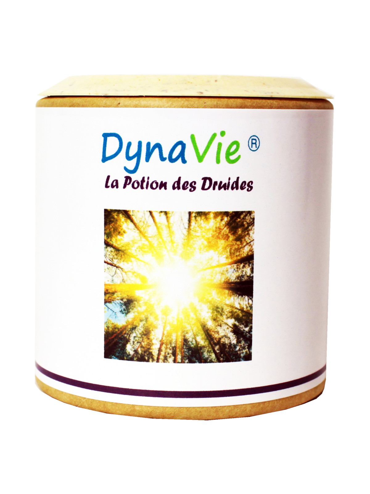 Dynavie, La Potion des Druides