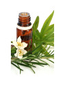 Tea tree Bio