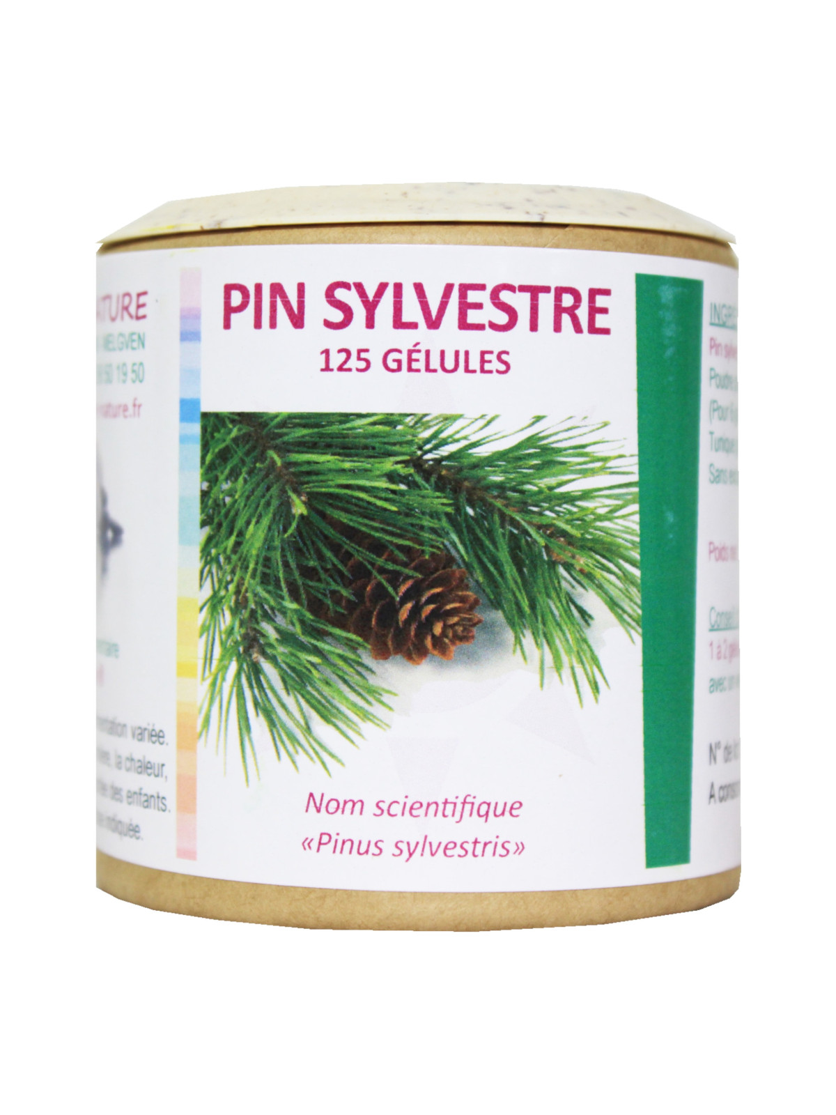 Pin sylvestre