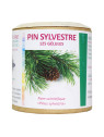 Pin sylvestre