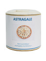 Astragale