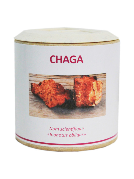 Chaga