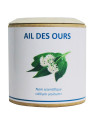 Ail des Ours