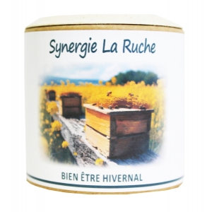 Synergie La Ruche