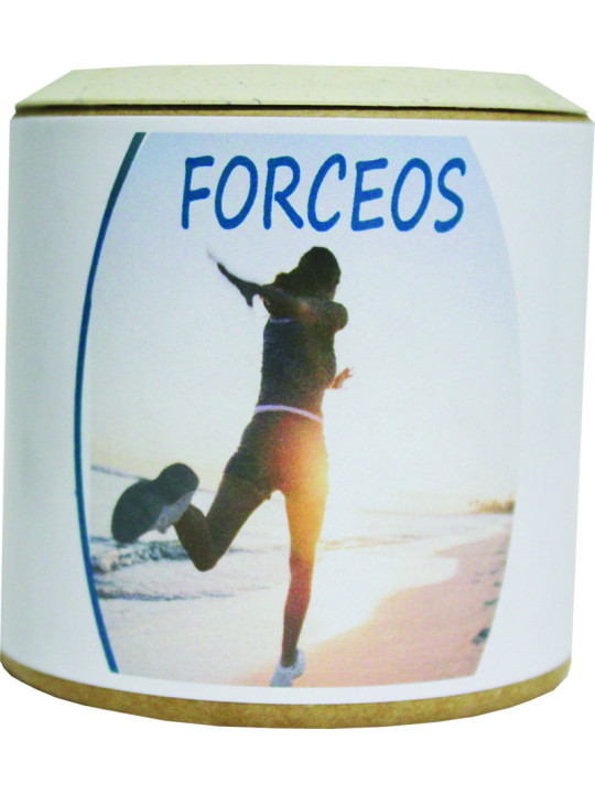 Forceos Vitamines D3 Vegan et calcium - Sentier Nature