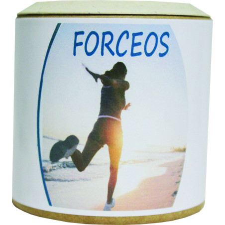 Forceos Vitamines D3 Vegan et calcium - Sentier Nature