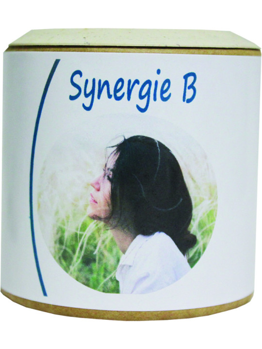 Synergie B gélules entretien vit. B Naturelles - Sentier Nature