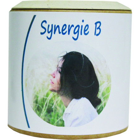 Synergie B gélules entretien vit. B Naturelles - Sentier Nature