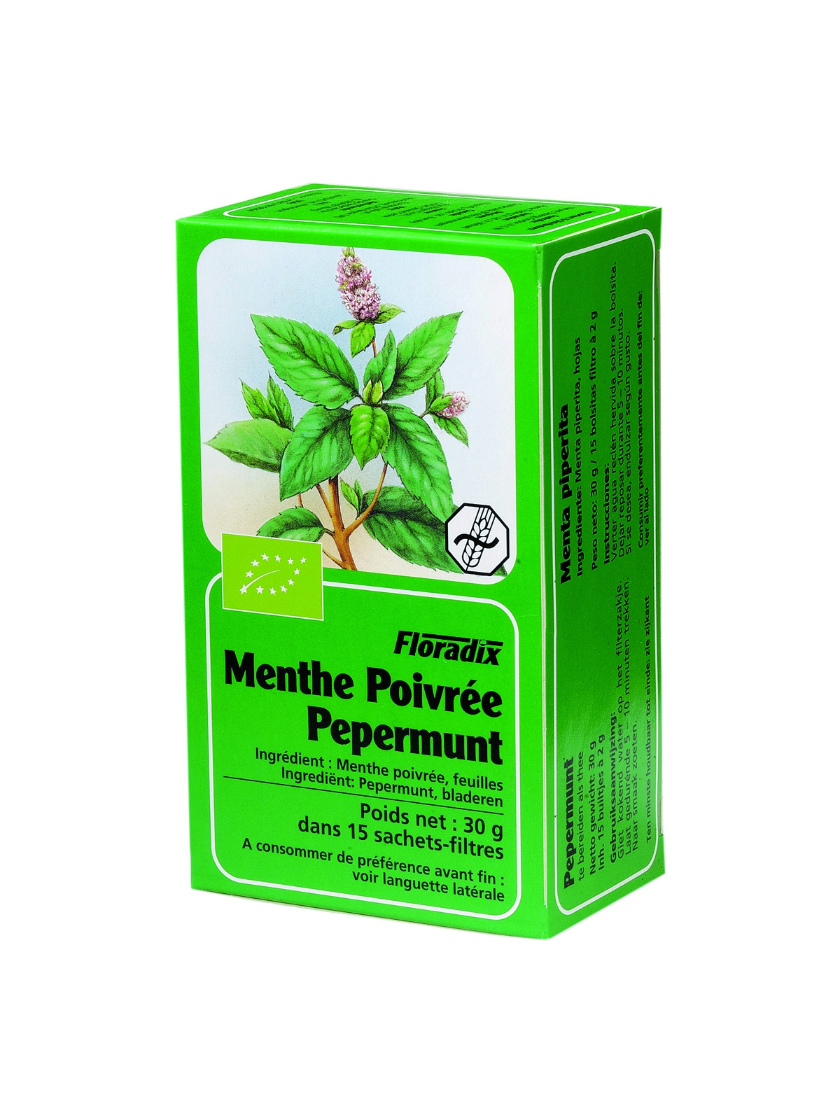 Menthe poivrée